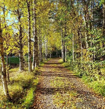 Alpehytte Minicabin Vuokatti