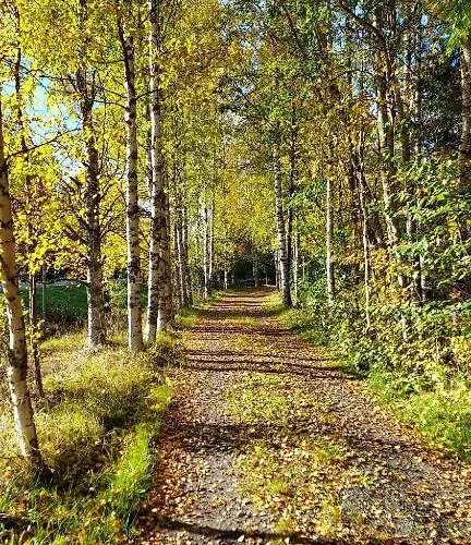 Lomamökit Minicabin Vuokatti